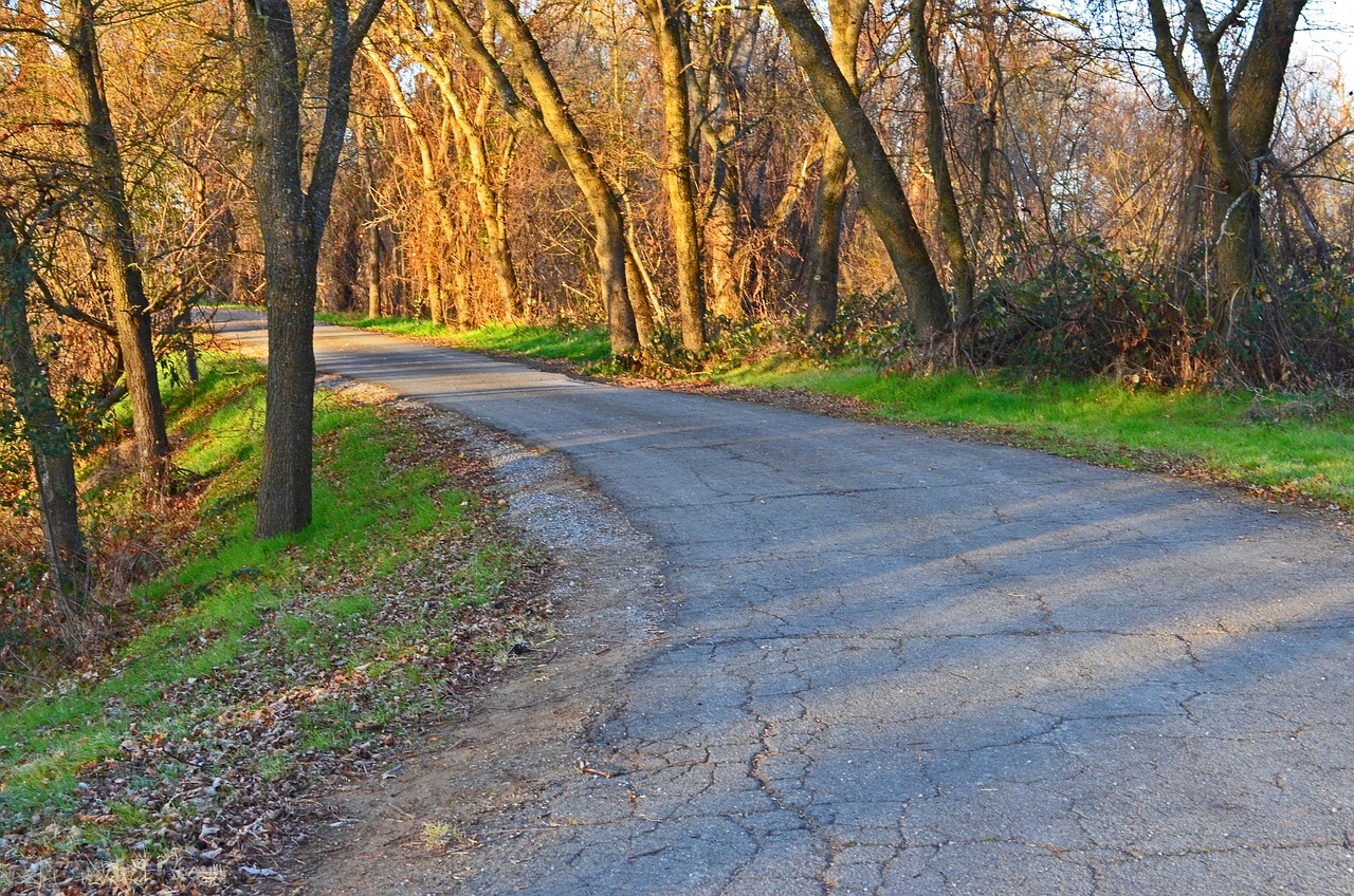 The Road In